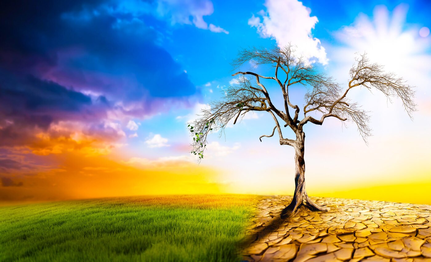 Shocking record temperatures: Have we reached a point of no return?