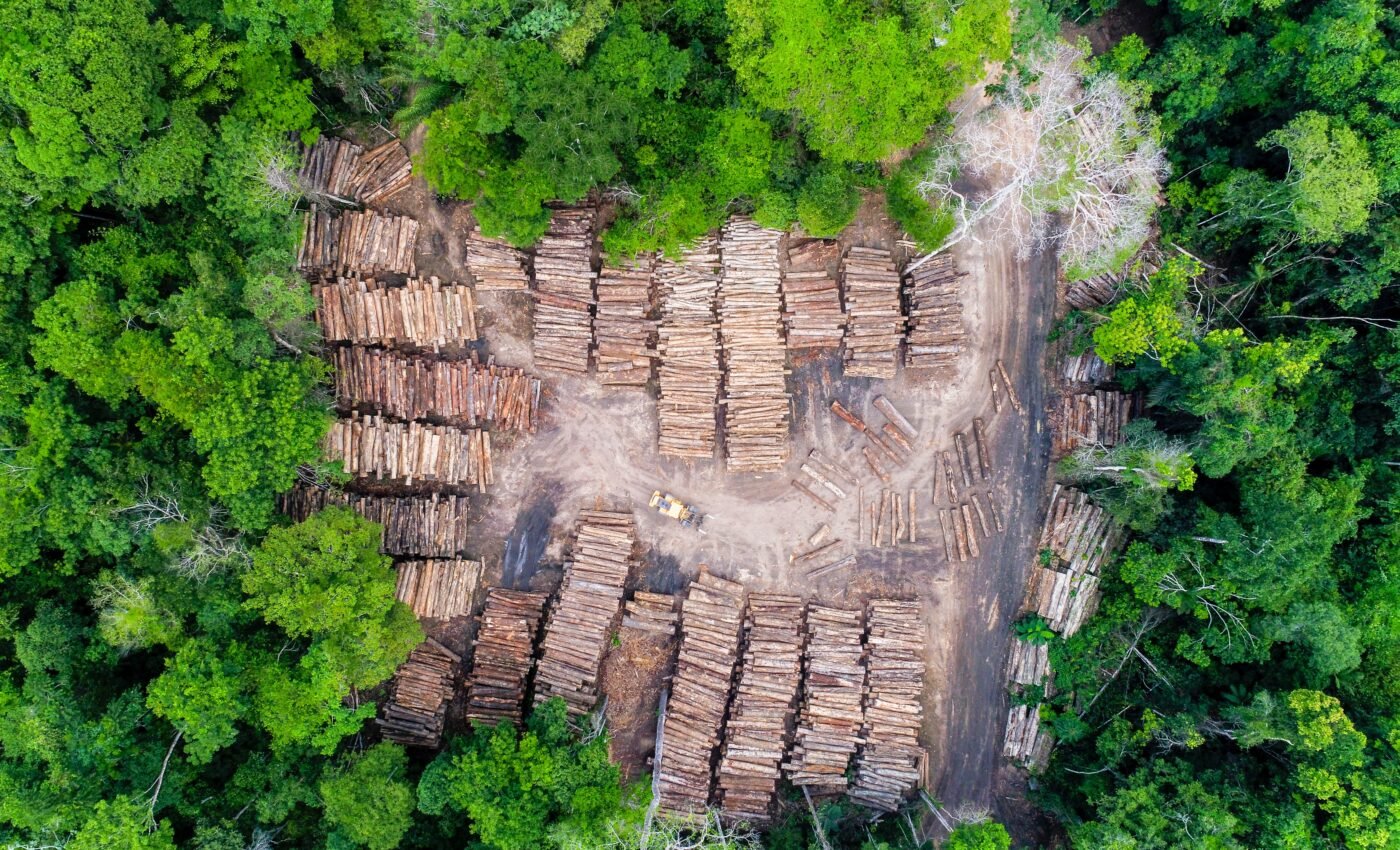 Brazilian Amazon crisis: Deforestation is escalating in Indigenous Territories