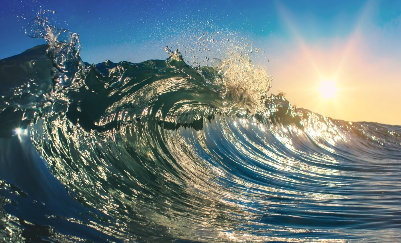 Ocean temperatures hit a record high this week with the worst heat still to come
