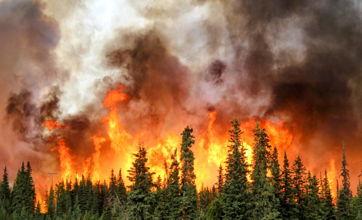 Wildfire impacts are evolving due to climate change, but in what ways?