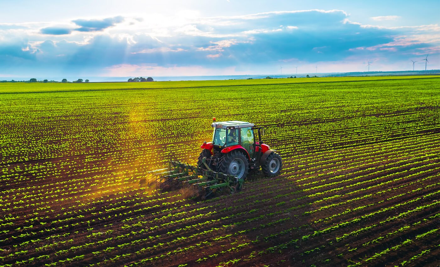 Adding crushed volcanic rocks to the soil on farms can help sequester CO2