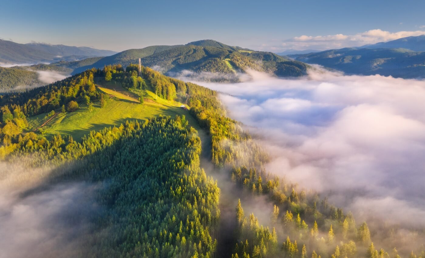 New technology captures fog from the air and turns it into water