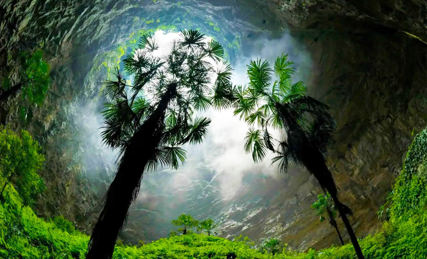 Untouched ancient forest discovered inside colossal sinkhole in China