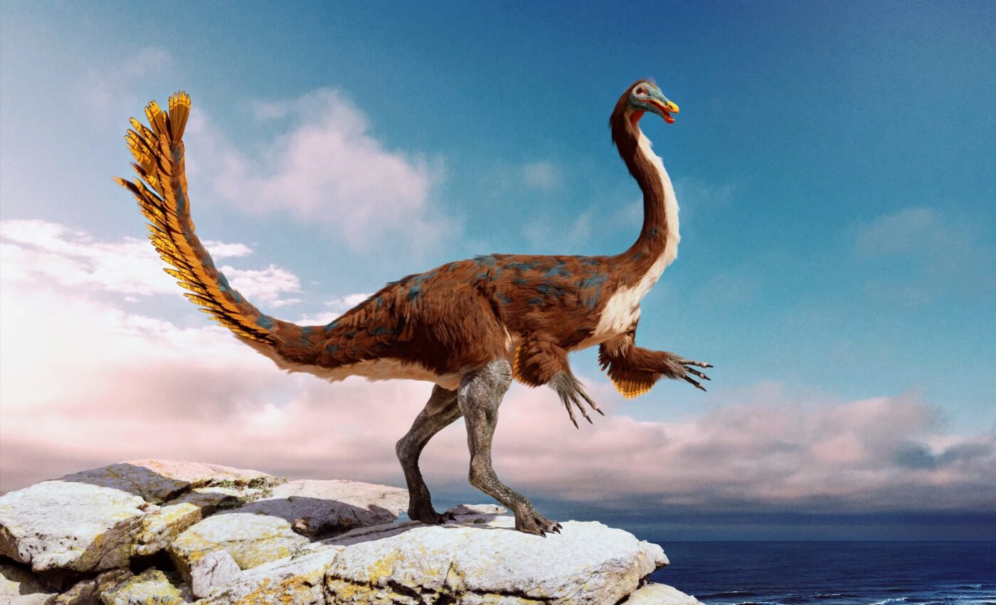 Scientists shed new light on Europe’s enigmatic dinosaurs