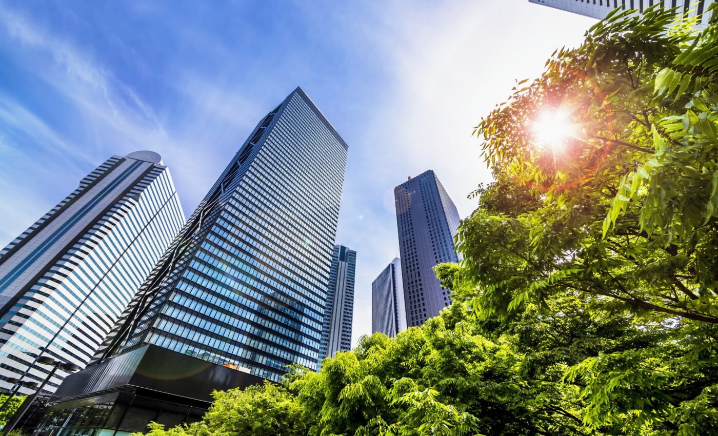 Nature-based solutions: City greening reduces carbon emissions
