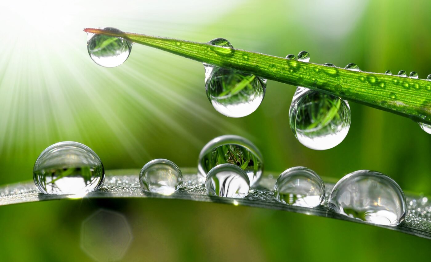 Breakthrough hydrogel device turns hot summer air into drinkable water