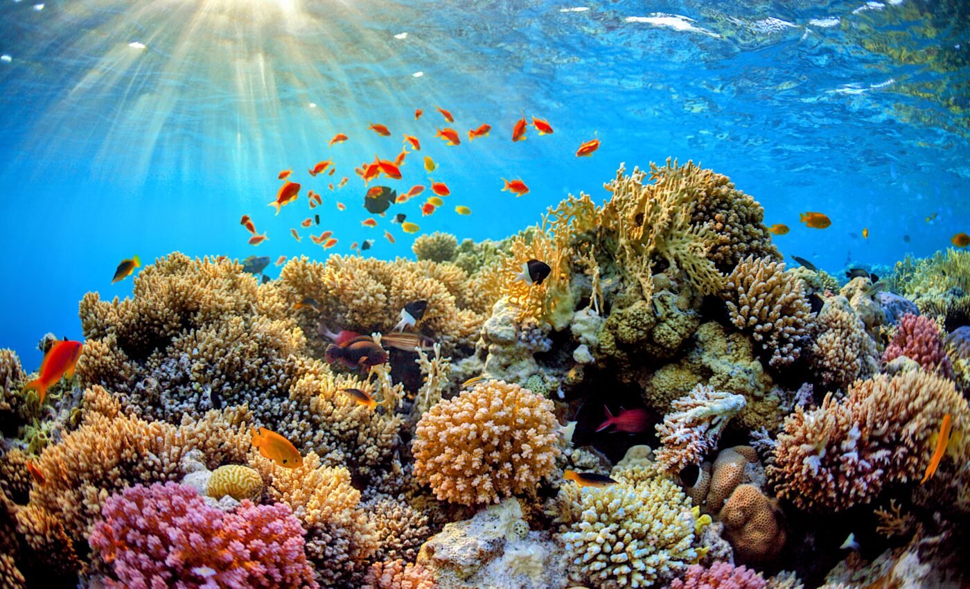 Theories about the natural world must be updated due to human interference