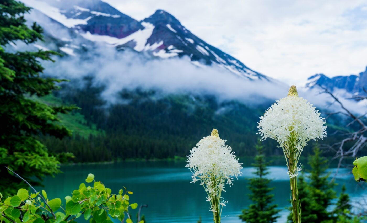 How much have humans changed the soundscape of Glacier National Park?
