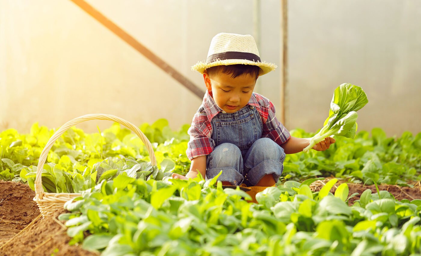 Common herbicides linked to diminished brain functioning in young adults