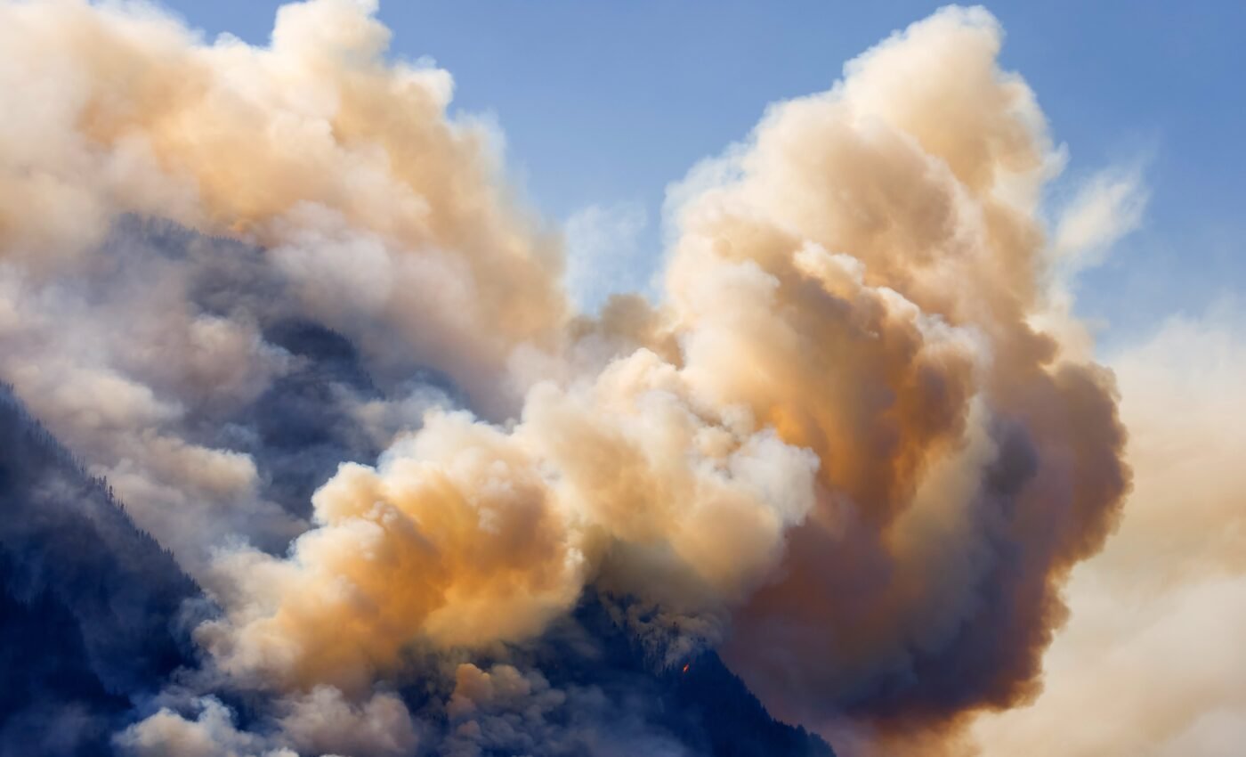 Canadian wildfires of 2023 were a global environmental setback