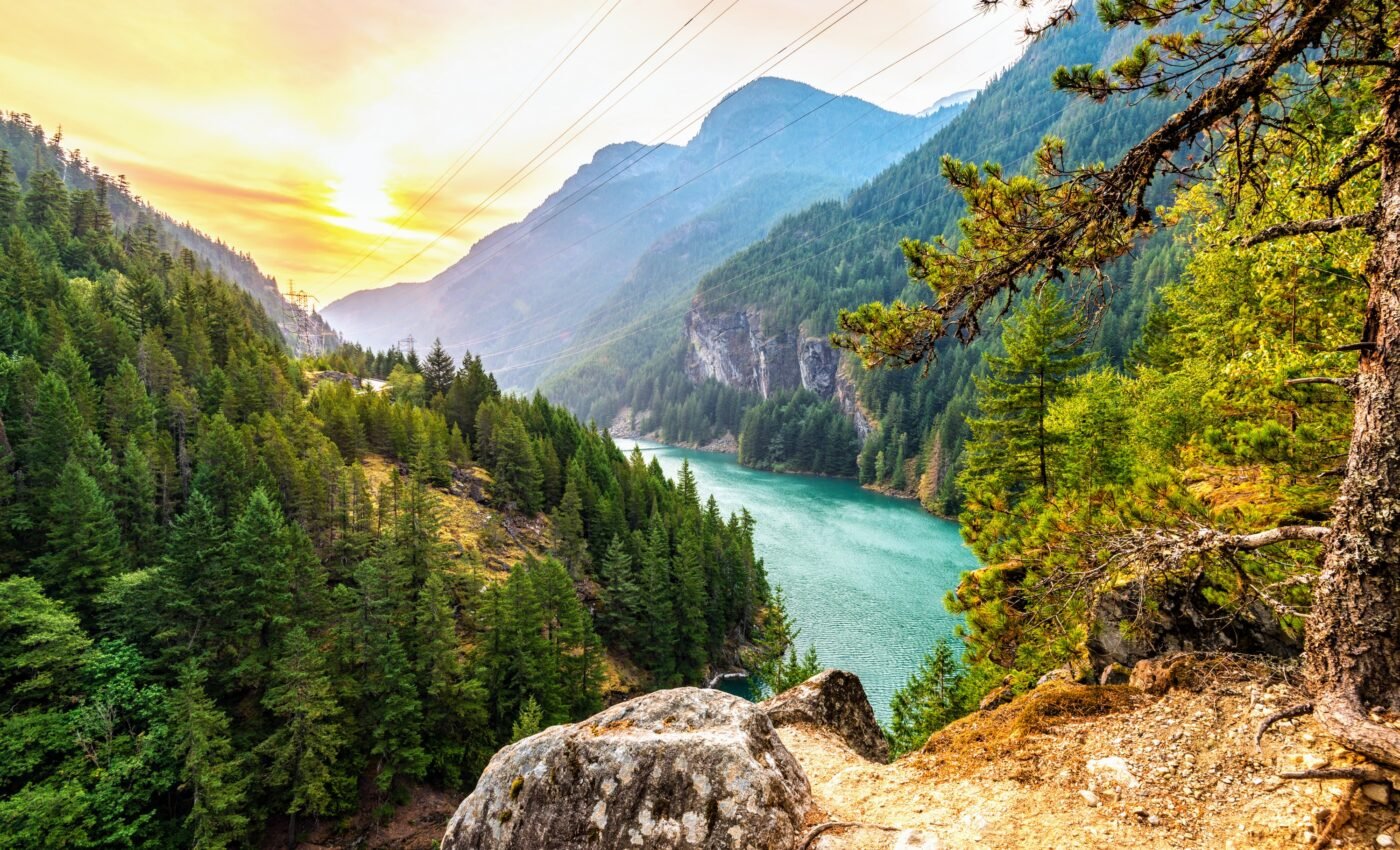 Forest modeling study reveals new insights into carbon sequestration