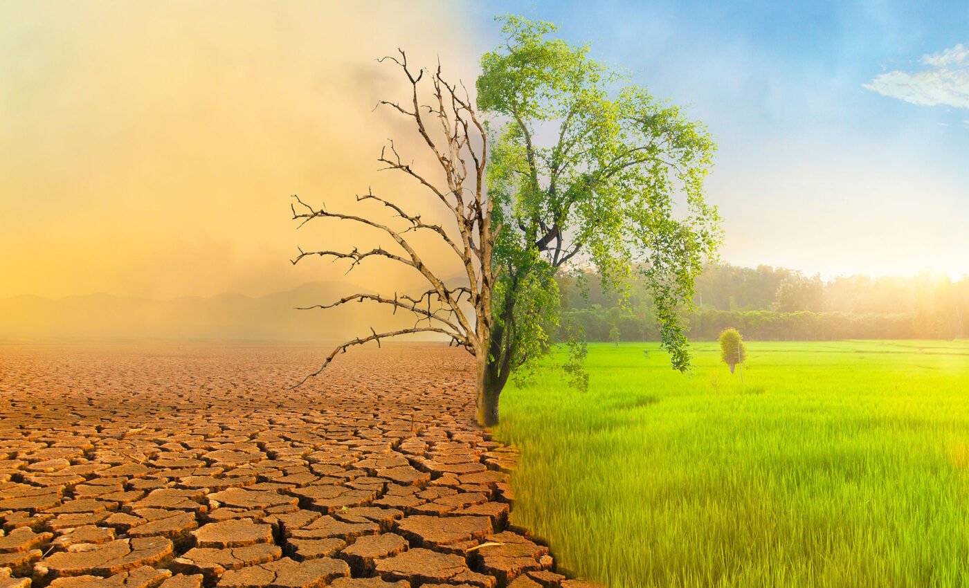 Global drought crisis: UN warns of unprecedented emergency