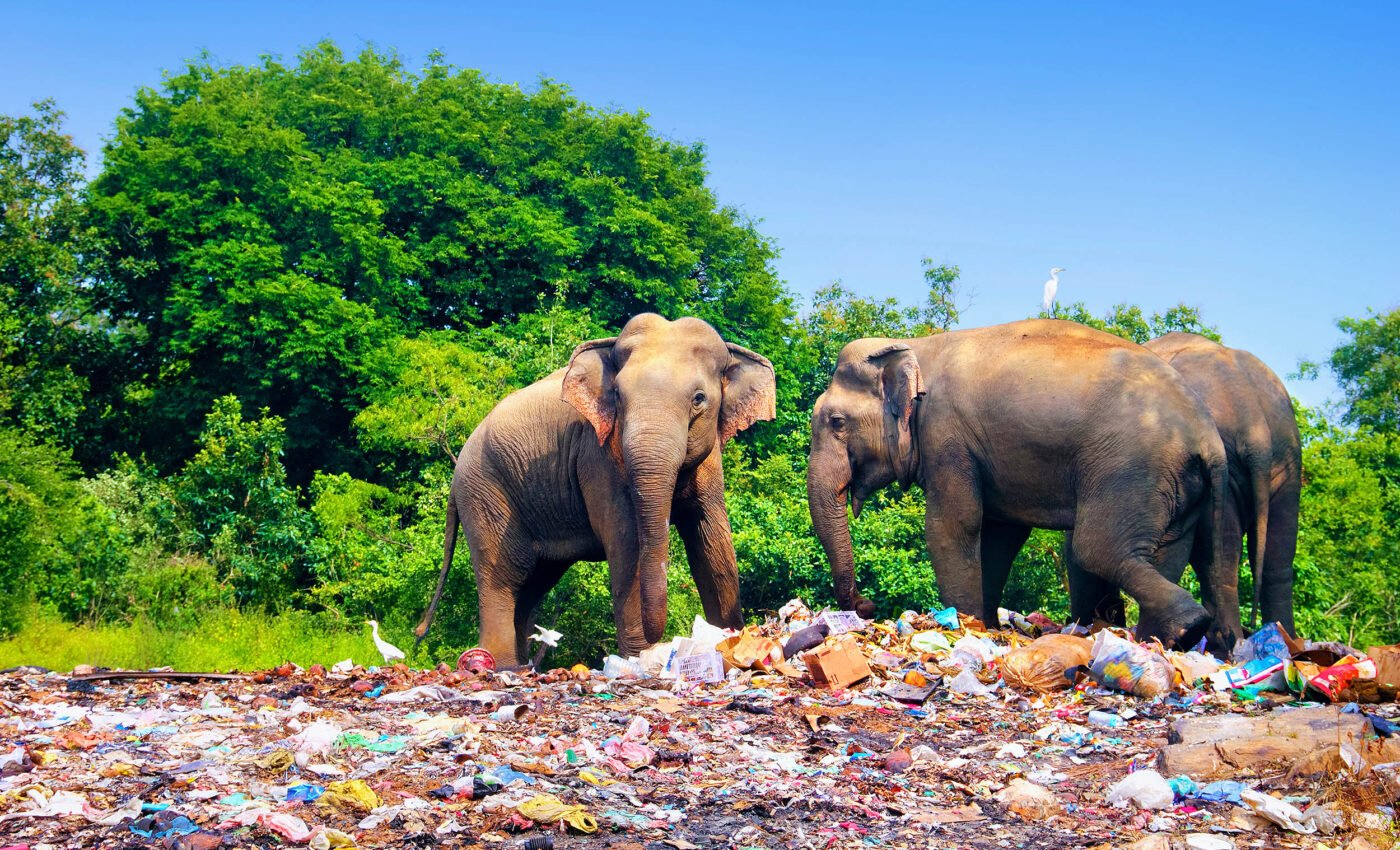 $7 trillion invested every year in products and activities that directly harm nature