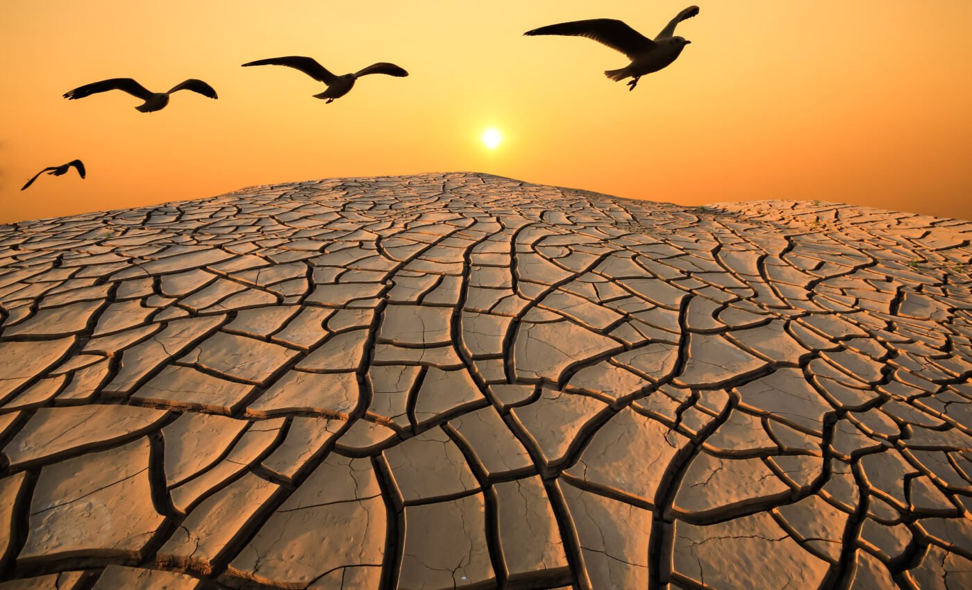 2024 is expected to exceed the 1.5°C warming limit