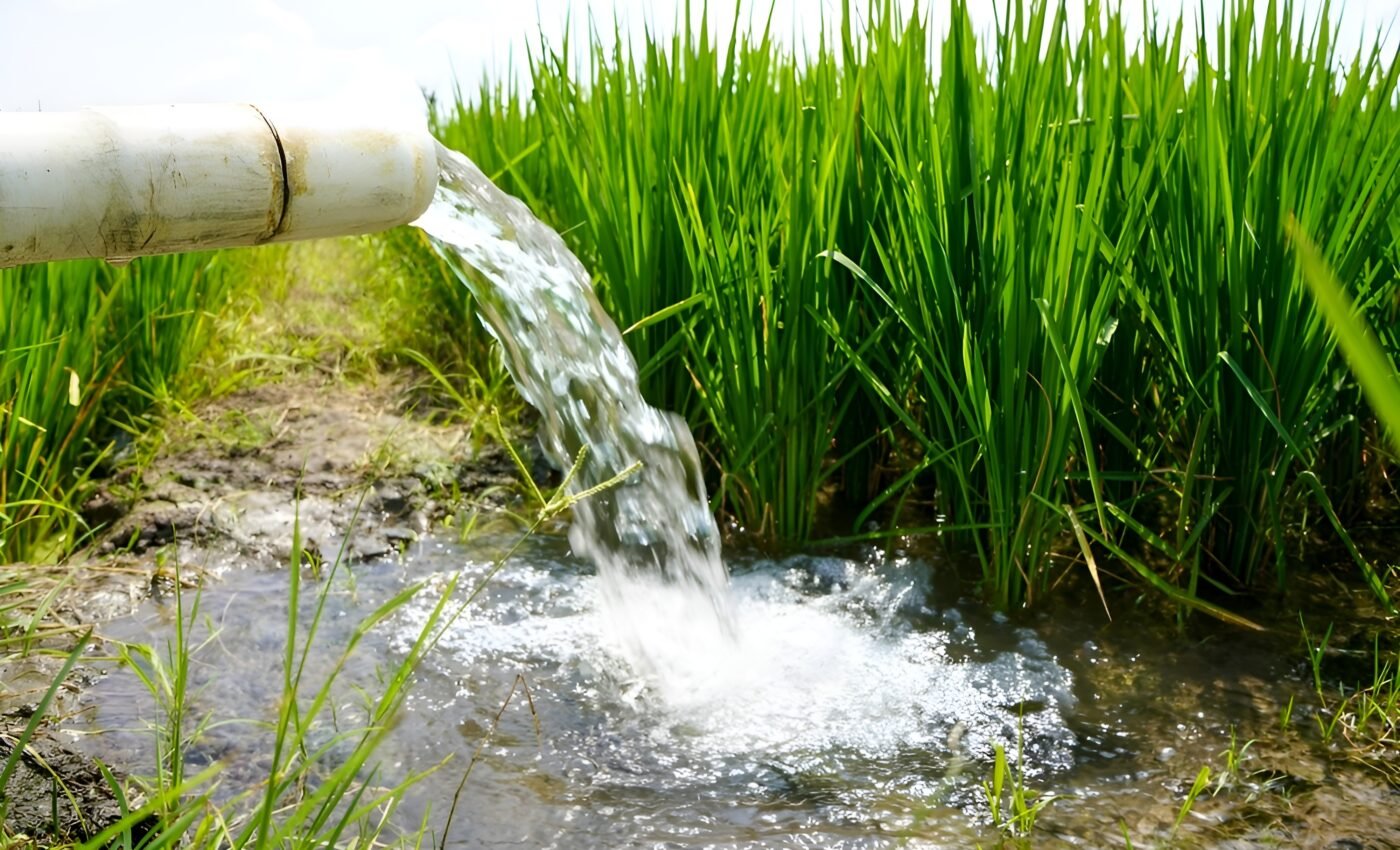Groundwater is a keystone ecosystem vital for our planet's health