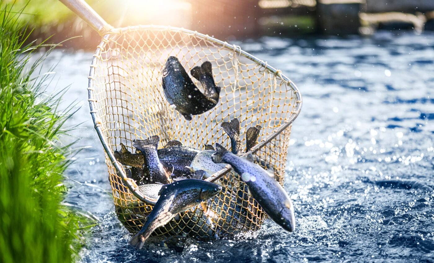 Fishing communities cooperate to survive climate change