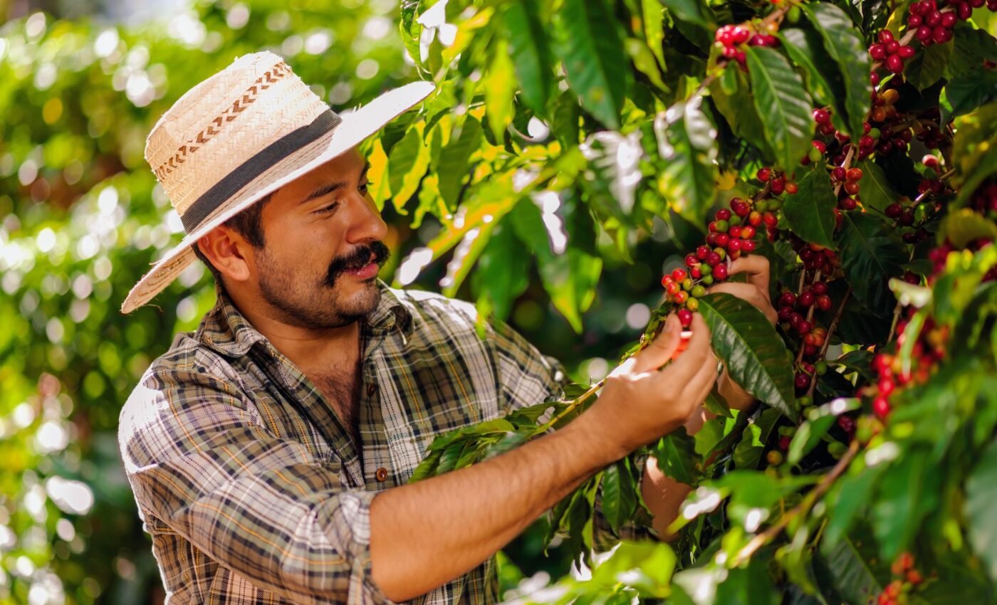 Climate change imposes financial burden on global agriculture