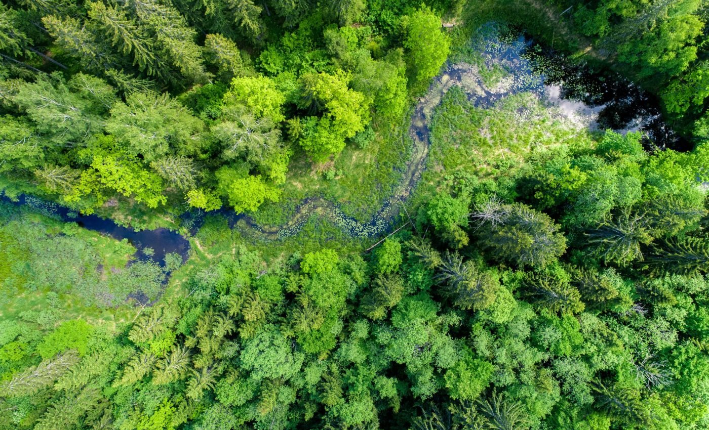 World Environment Day 2024: A call for land restoration