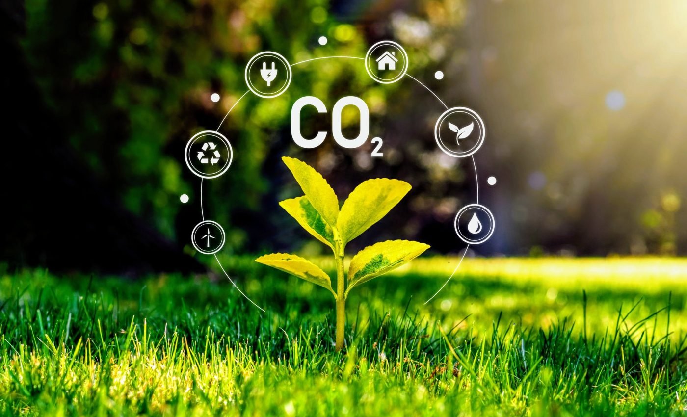 ‘Wonder material’ can extract value from captured carbon 