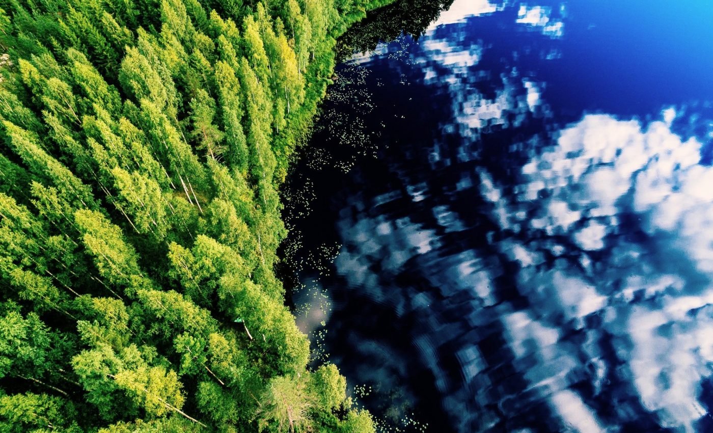 Plants release carbon faster than we expected