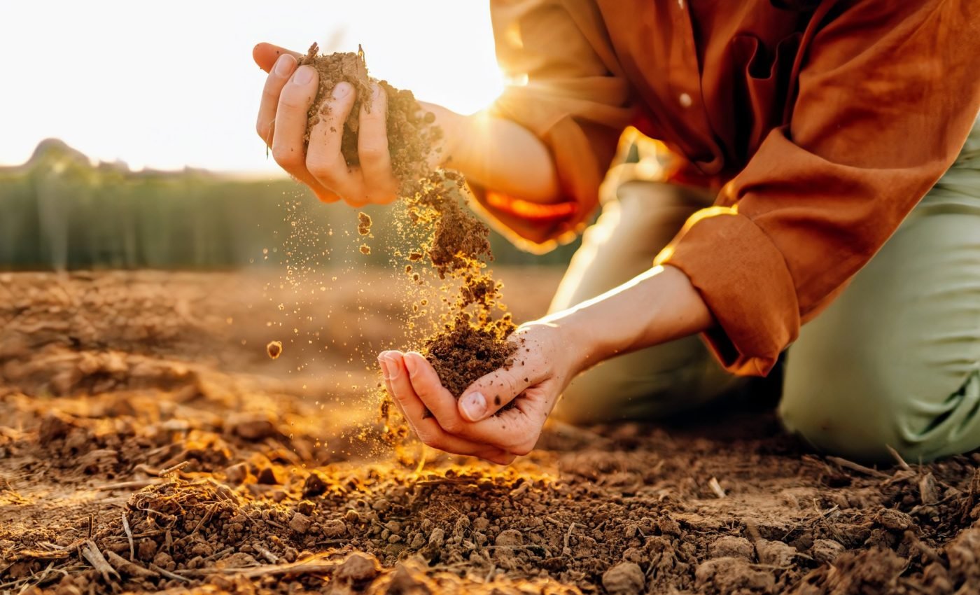 Sustainable food systems are gaining momentum