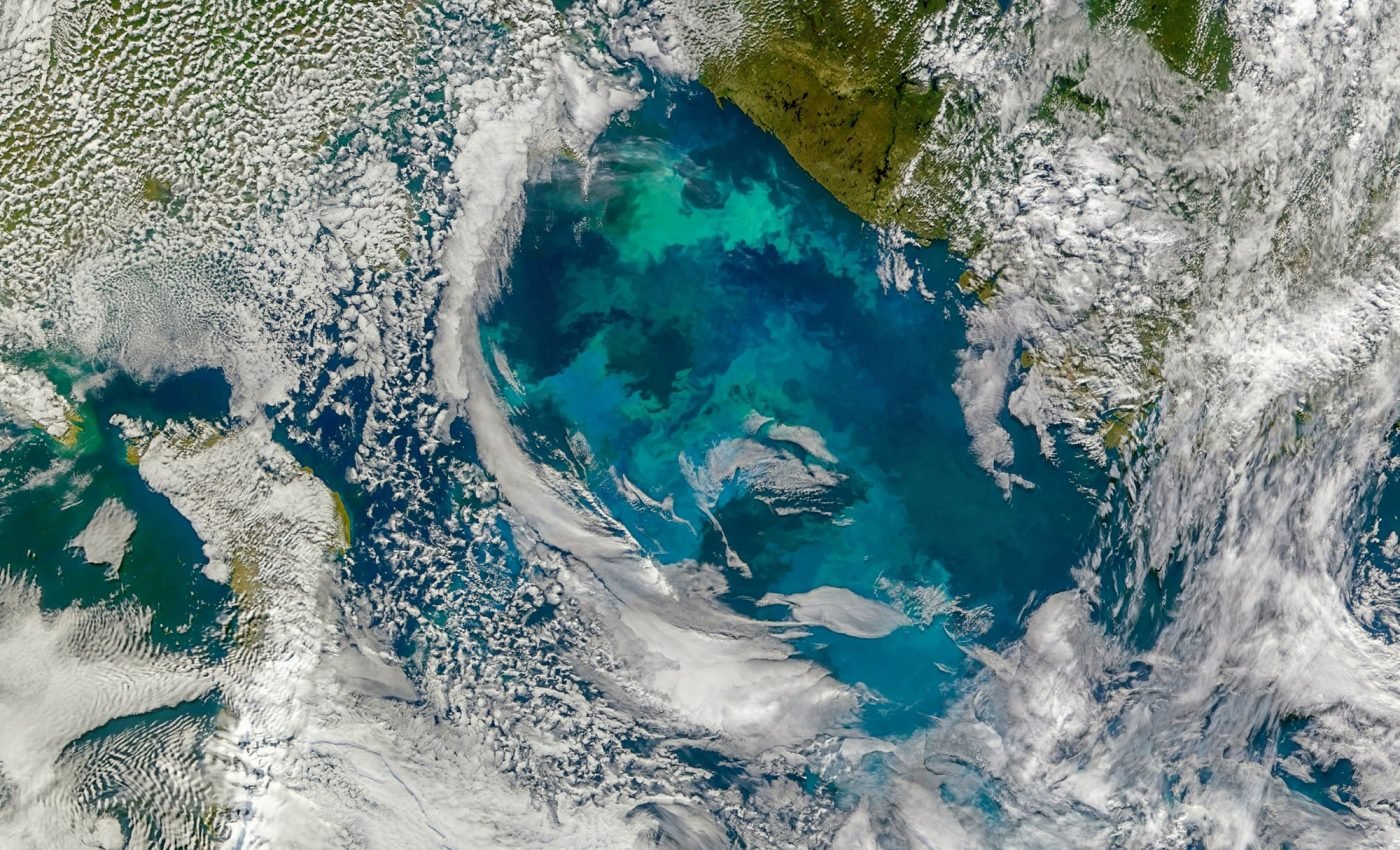 Tiny plankton play a big role in the global carbon cycle