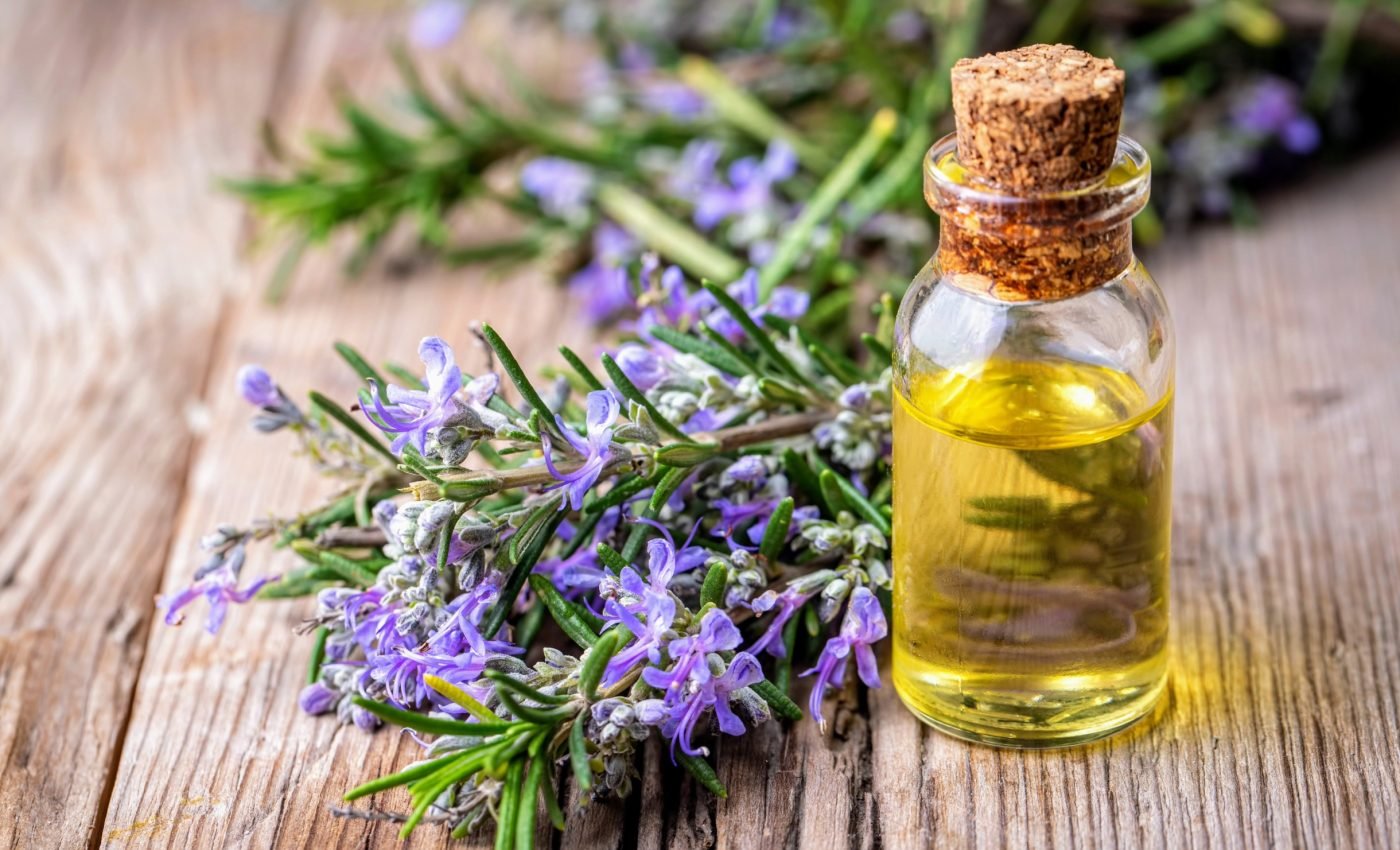 Rosemary compound offers hope in combating cocaine addiction