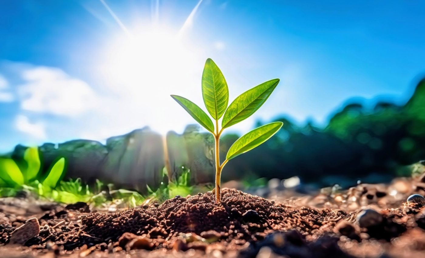 Warming soils release more carbon than plants can replace