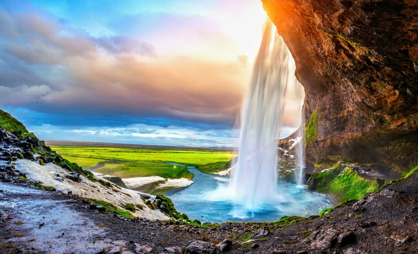 Springs are crucial habitats that are overlooked in conservation efforts