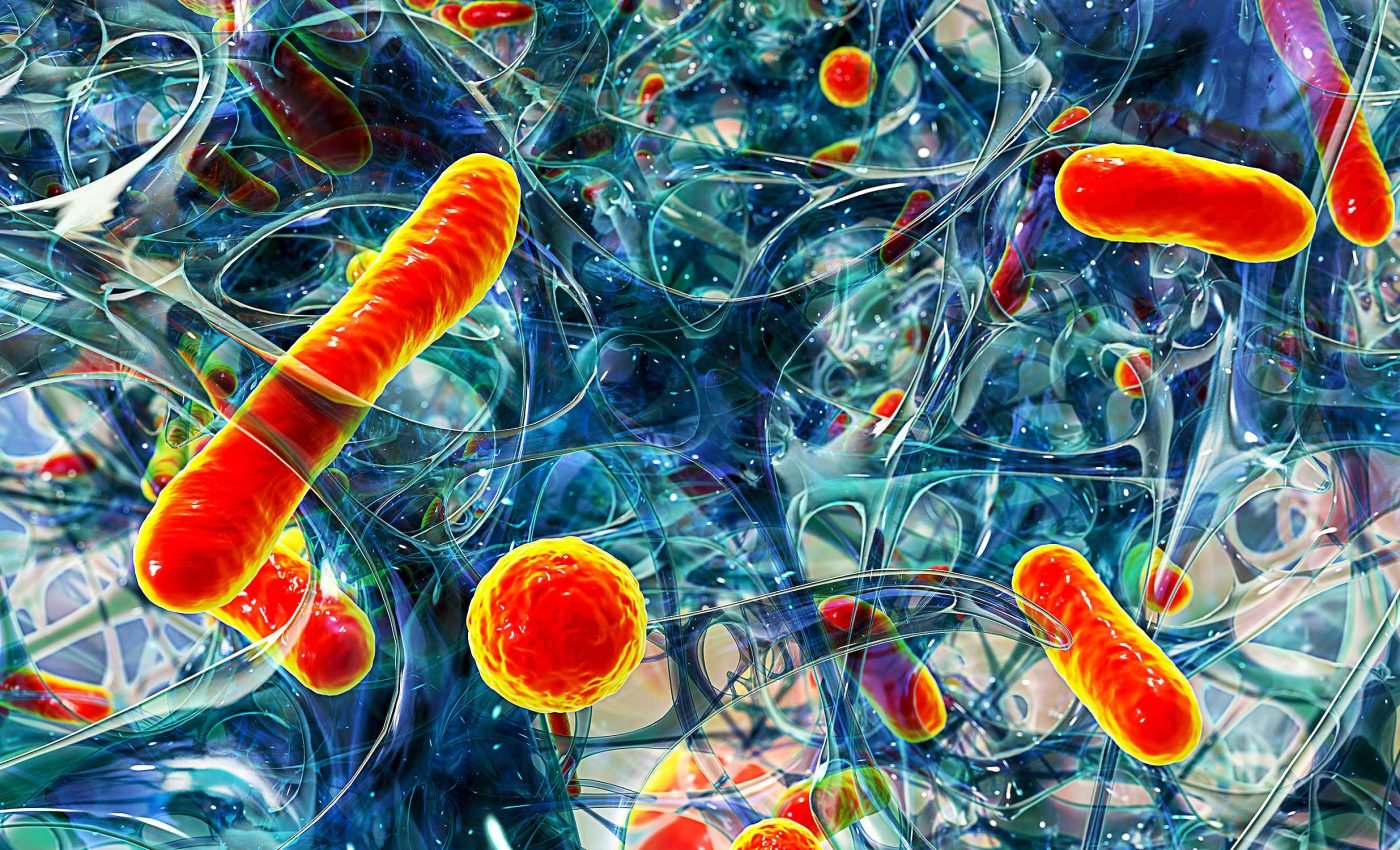 Arctic Sea microbes show promise as new antibiotic drugs