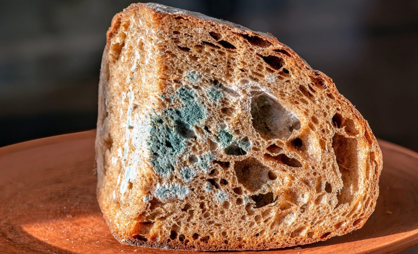 Fungi fusion: Turning food waste into culinary delights