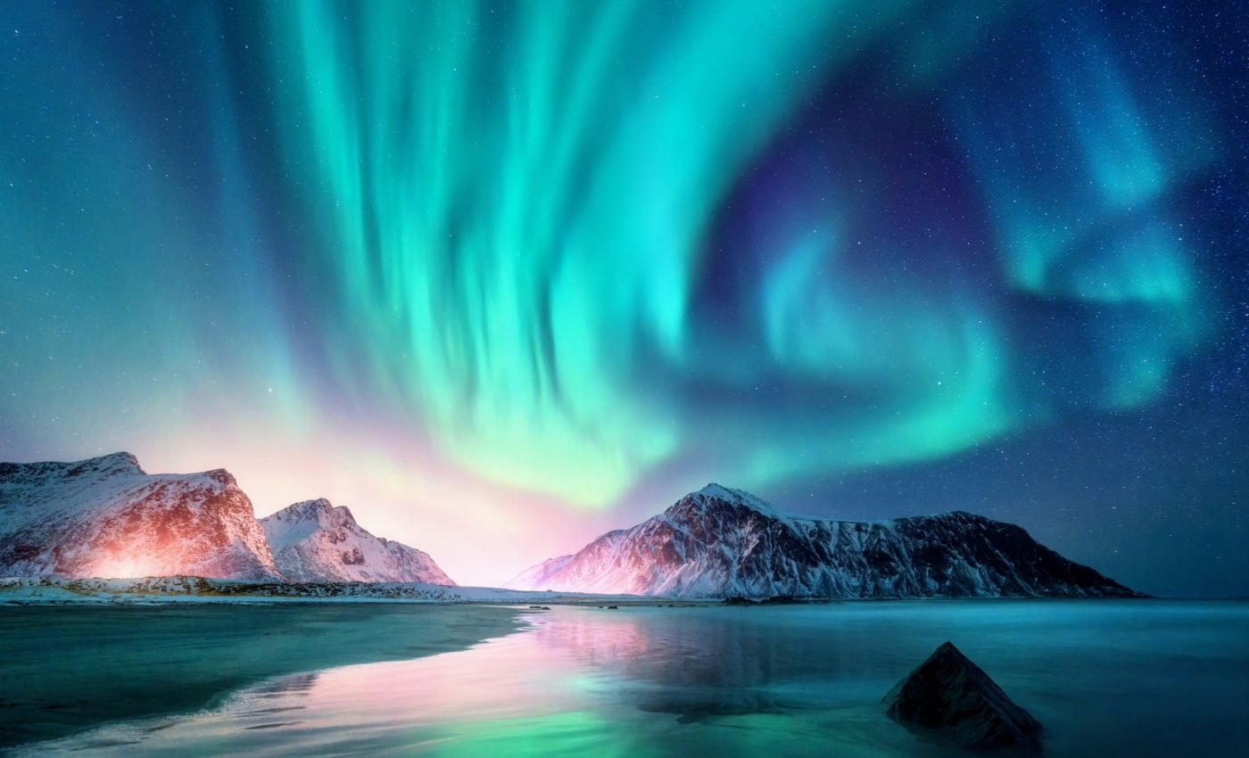 Polar light sustains biodiversity over millions of years 