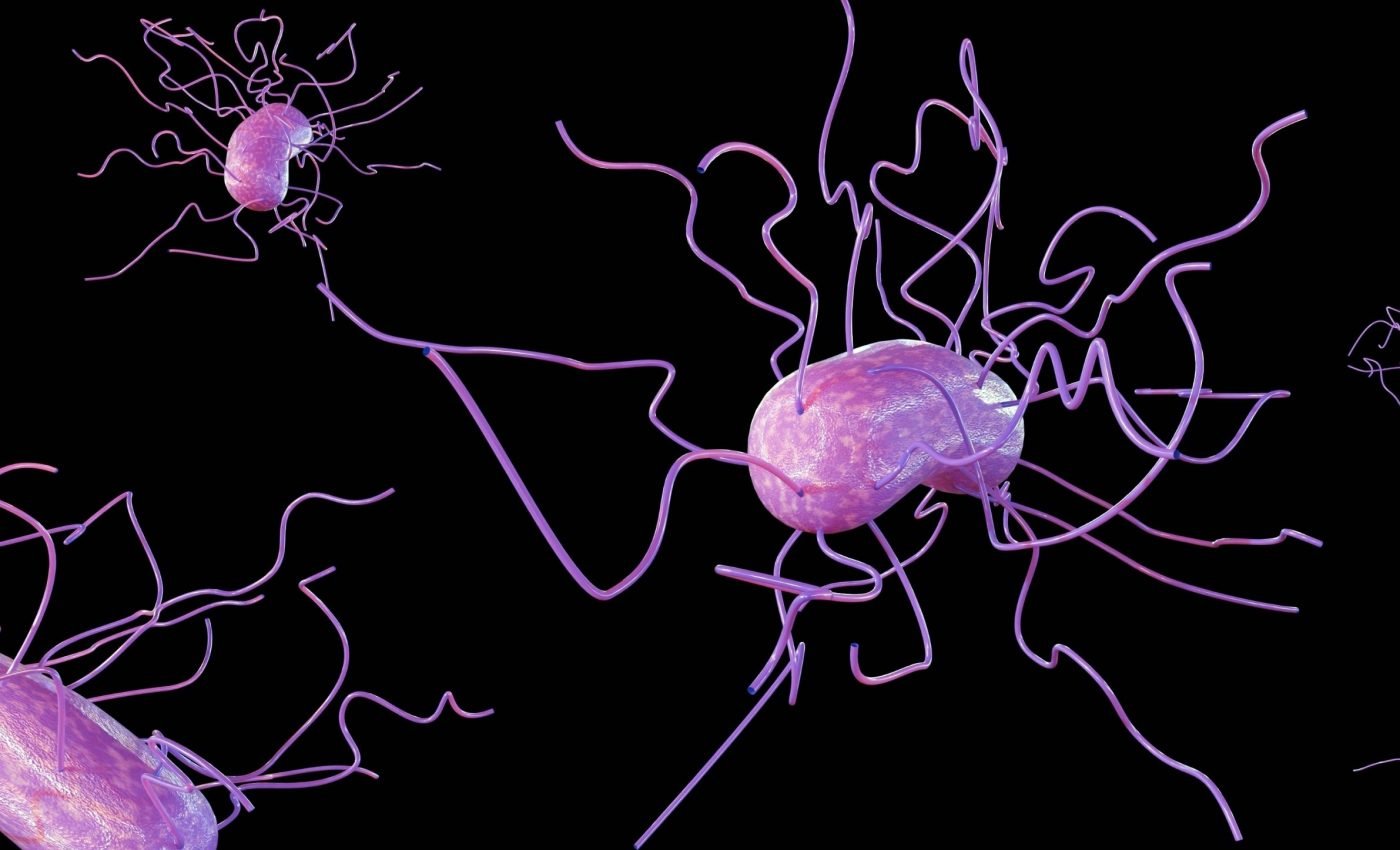 Finding alien life may be as simple as watching microbes move