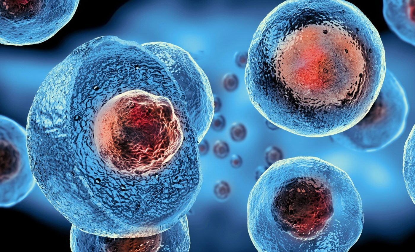 Hidden viral DNA may control human embryonic growth