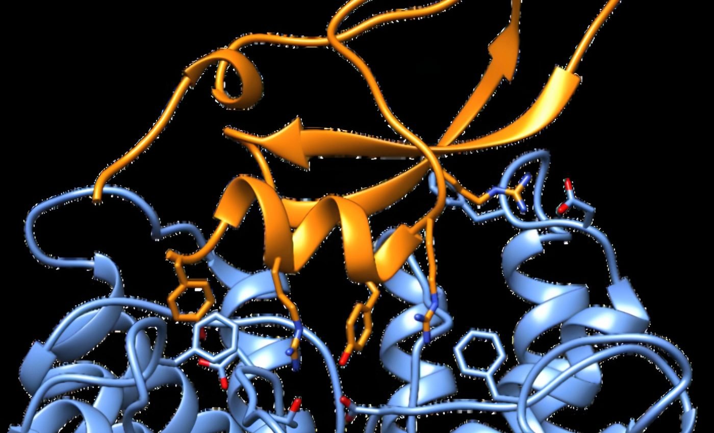Cone snail toxin has inspired a breakthrough in drug discovery