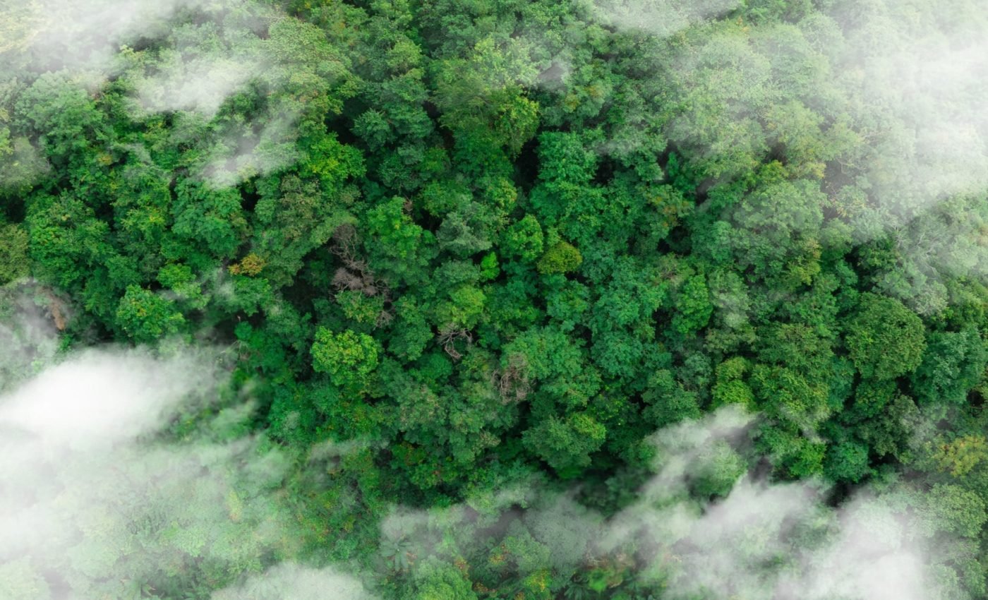 Fading clouds are accelerating climate change