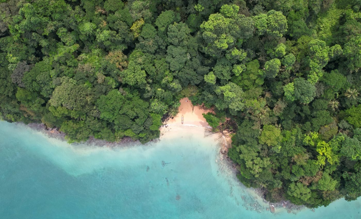 Humans lived in rainforests 80,000 years earlier than we thought