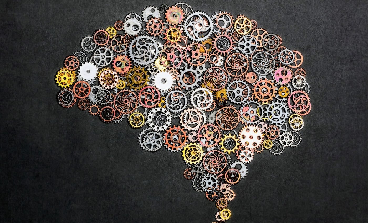 New brain pathways identified as being unique to humans