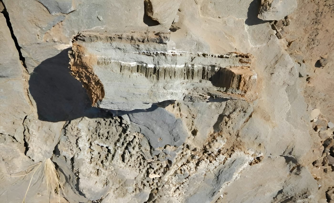 Unknown life forms discovered living in marble and limestone rocks