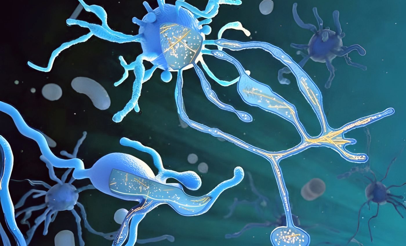 Tiny microbes may have given rise to complex life