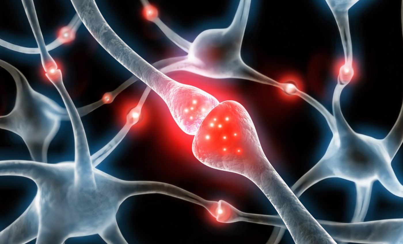 Fueling the mind: New map reveals where the brain gets its energy