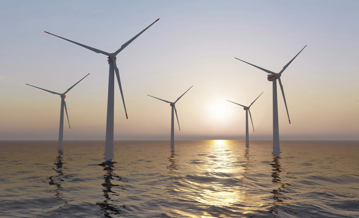 Offshore wind farms threaten marine life hotspots