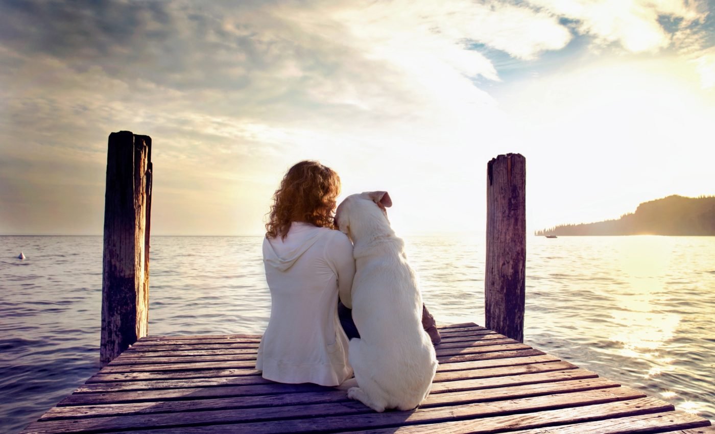 Pets increase life satisfaction as much as marriage or close friendships