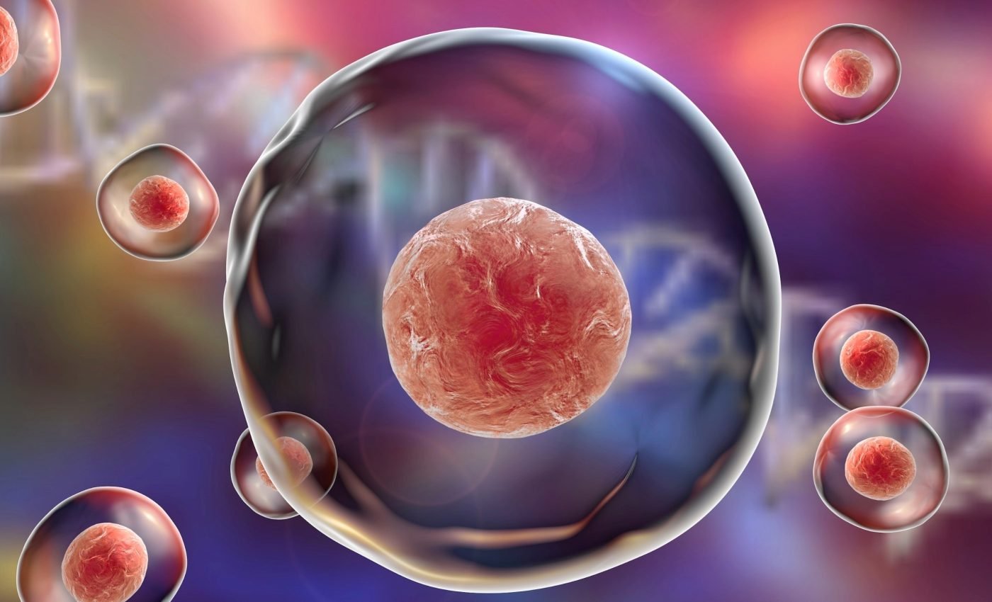 Microplastics may cause premature aging at a cellular level