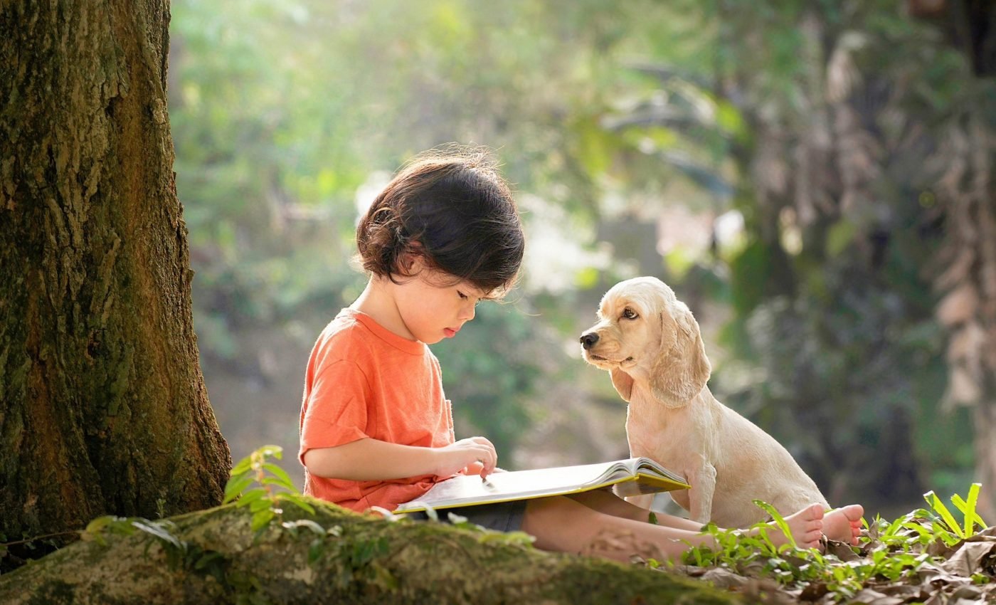 Dogs can understand words even in monotone speech