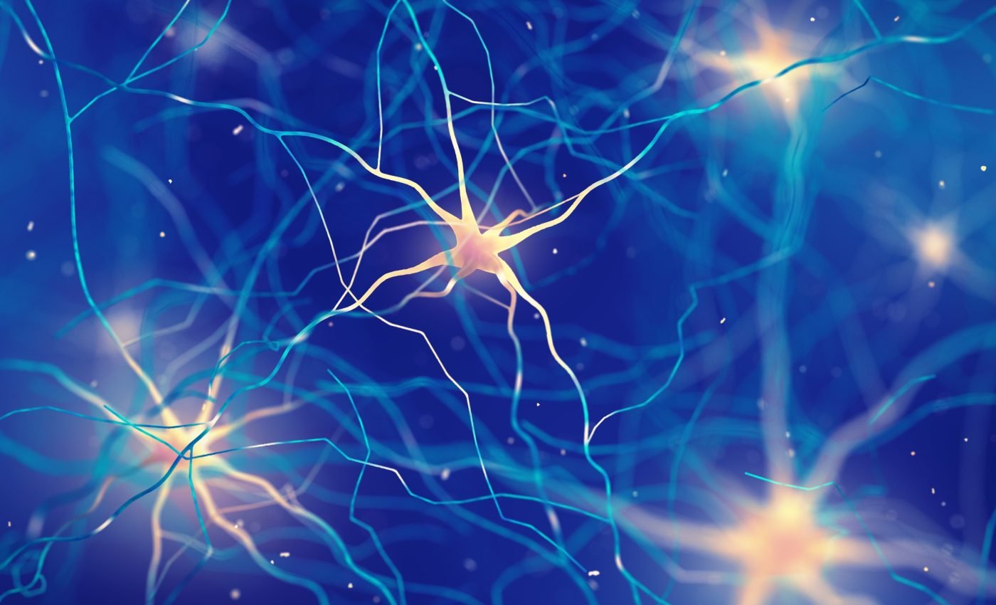 Brain aging linked to sluggish production of key proteins