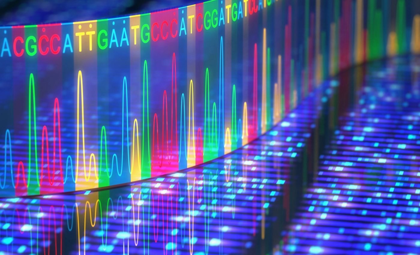 Our DNA holds the hidden history of human language