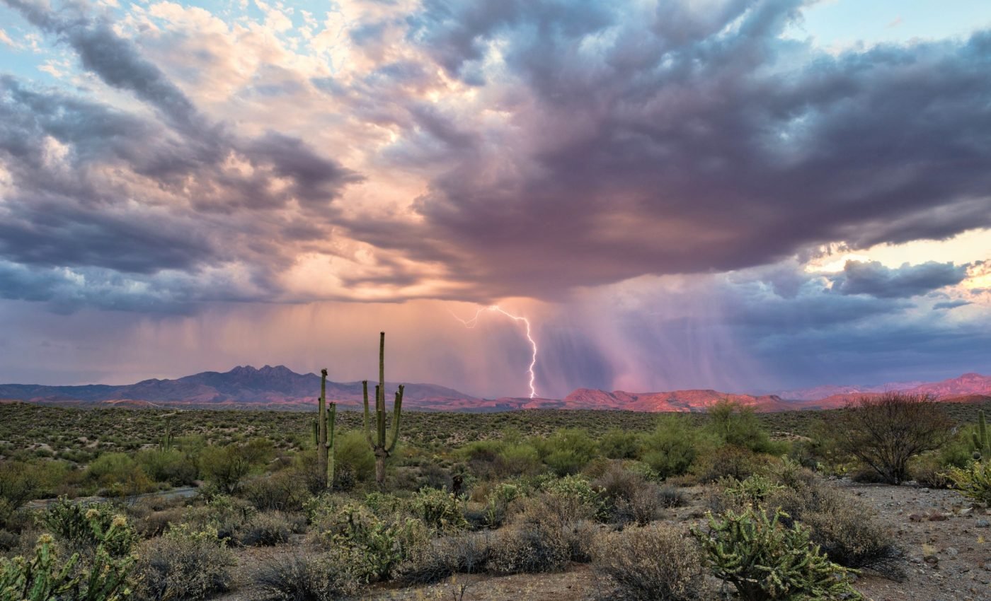Greenhouse gases surge from desert soils just minutes after rain