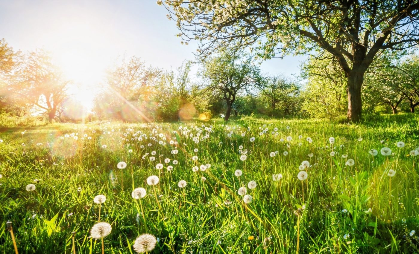 Seasonal timing can change quickly over short distances