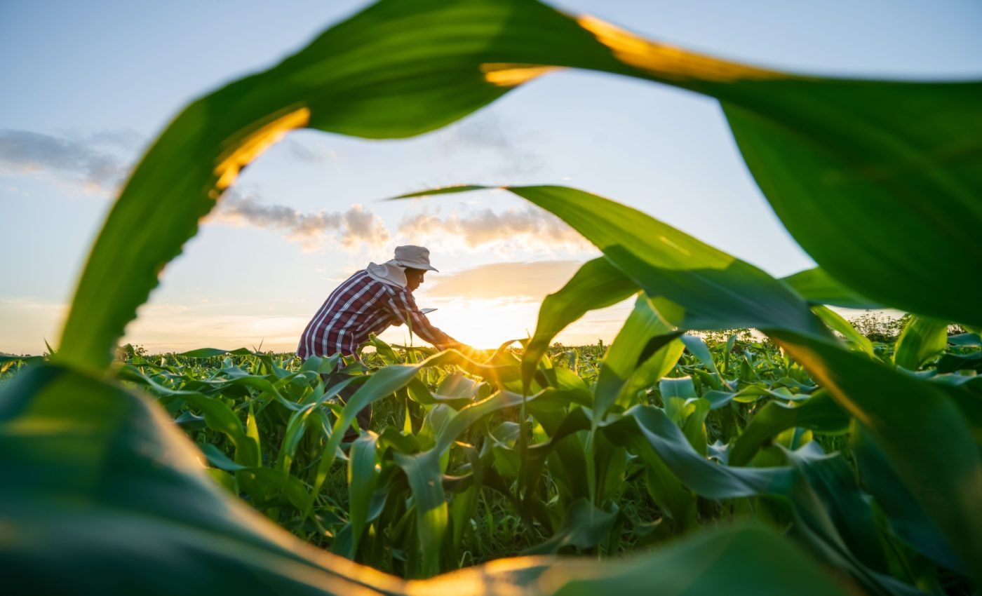 Farms can feed people and protect biodiversity at the same time